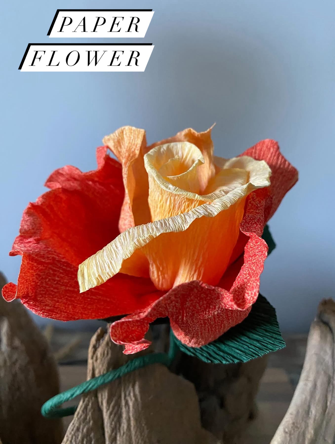 Les fleurs en papier accessoires
