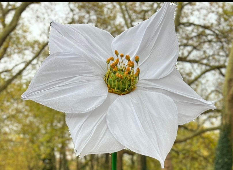 Fleurs et structures géantes selon vos envies sur mesure